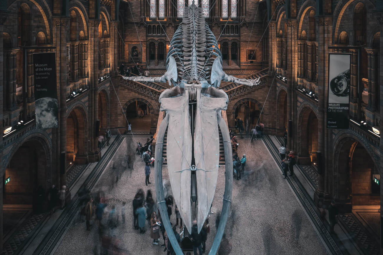 Natural History Museum Natural History Museum