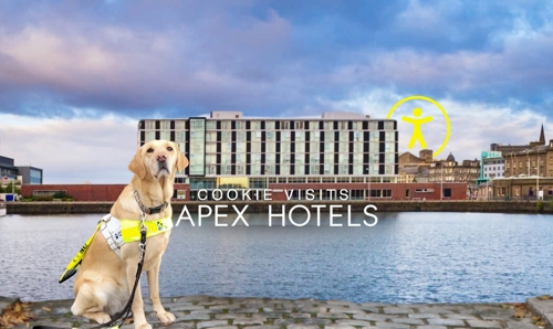 Guide dog poses in front of Apex City Quay Hotel & Spa