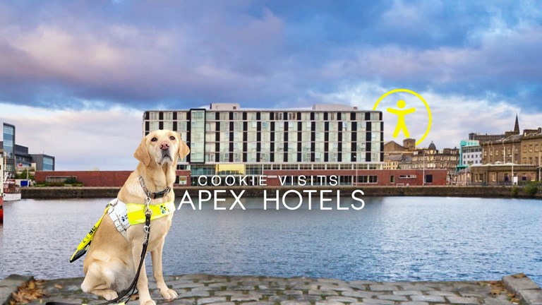 Guide dog poses in front of Apex City Quay Hotel & Spa